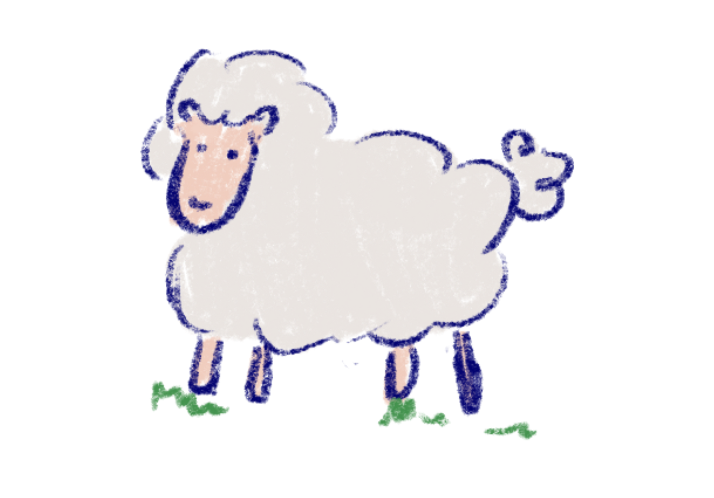 Sheep Icon